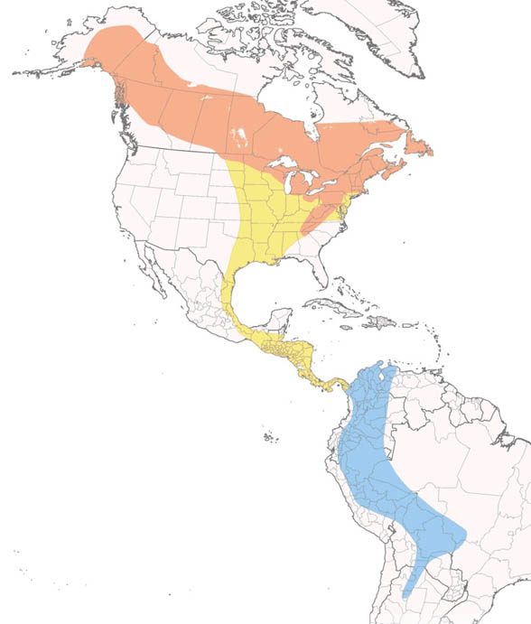 Alder Flycatcher map