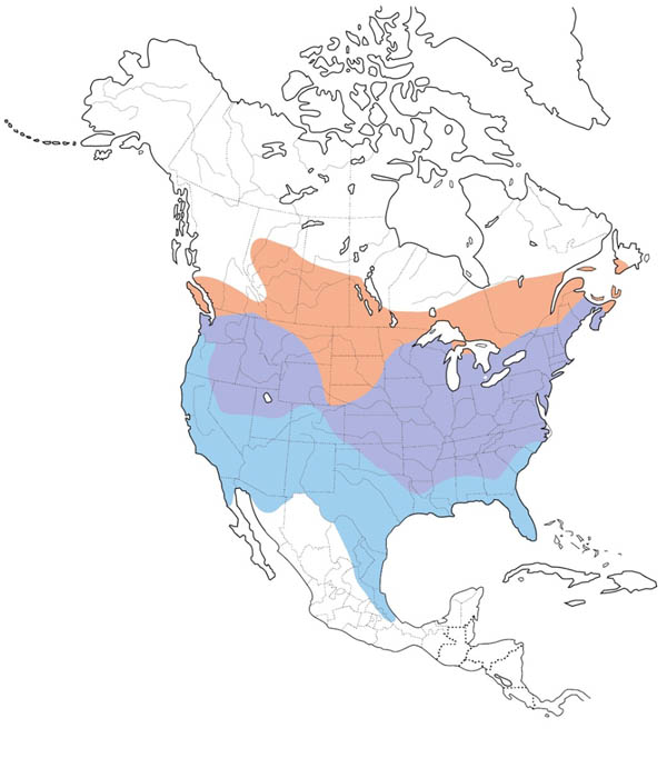 American Goldfinch map