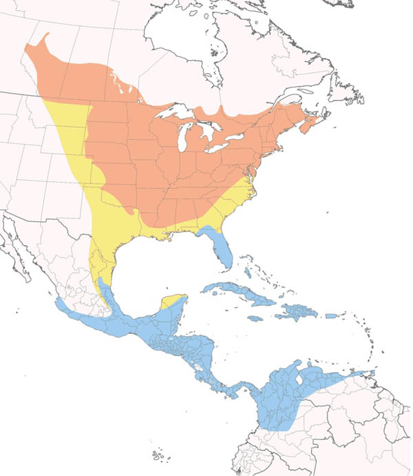 Baltimore Oriole map