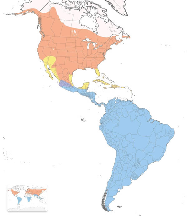 Barn Swallow map