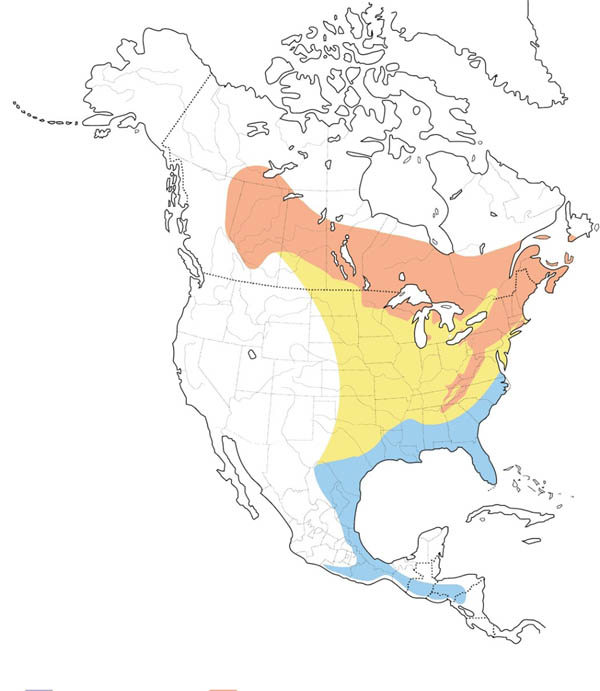 Blue-headed Vireo map