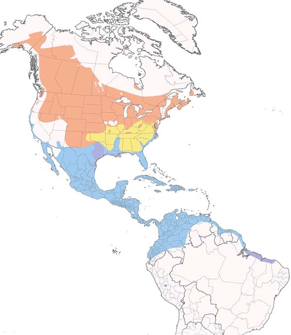 Blue-winged Teal map