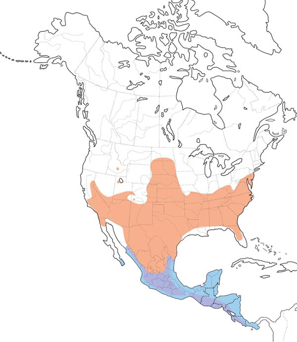 Blue Grosbeak map
