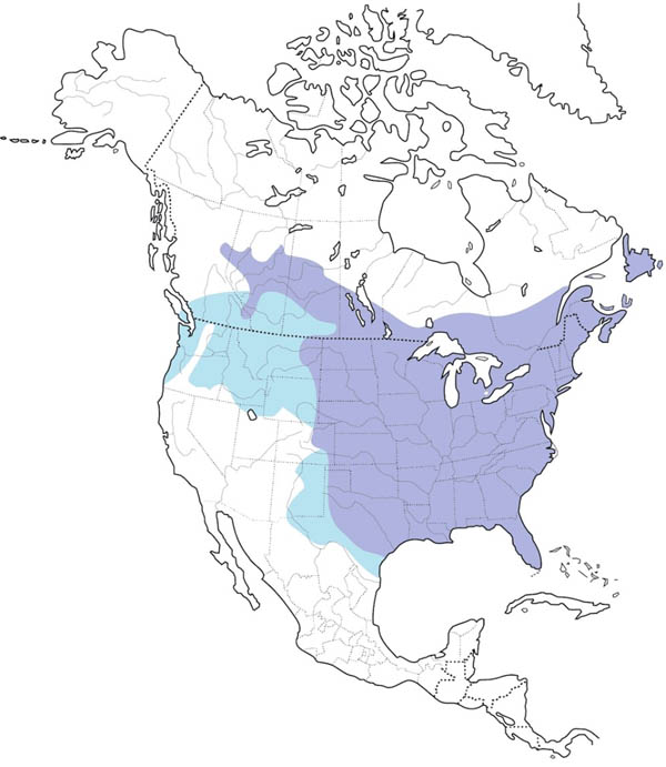 Blue Jay map