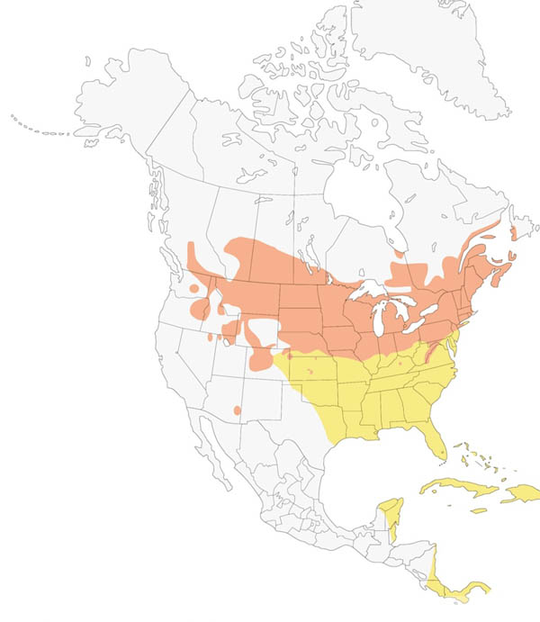 Bobolink map