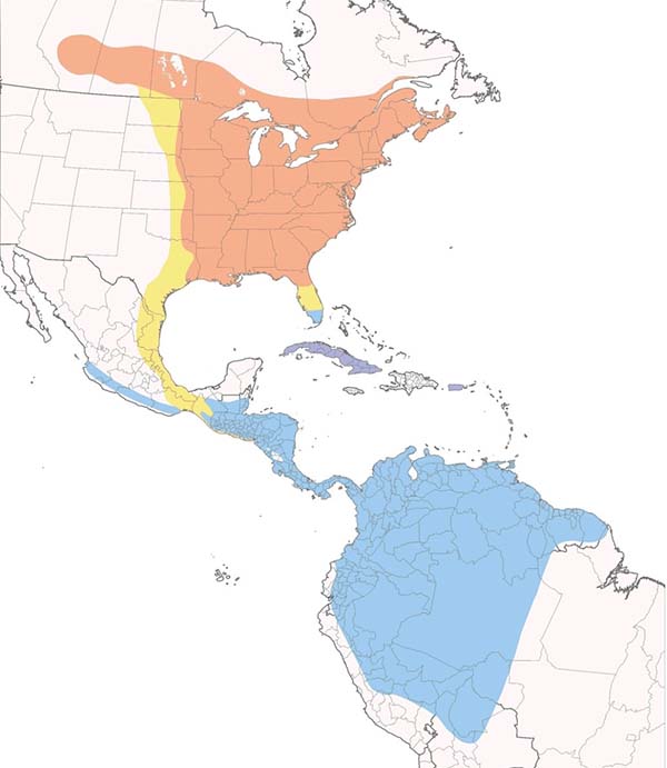 Broad-winged Hawk map
