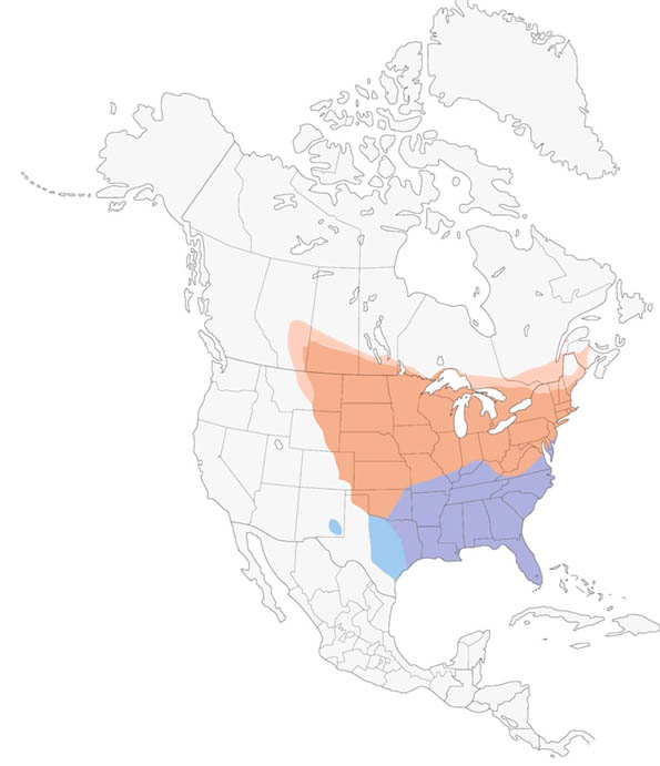 Brown Thrasher map