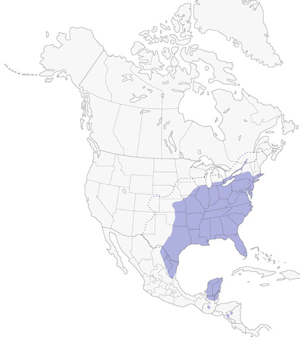 Carolina Wren map