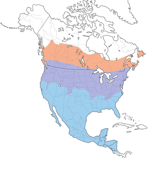 Cedar Waxwing map