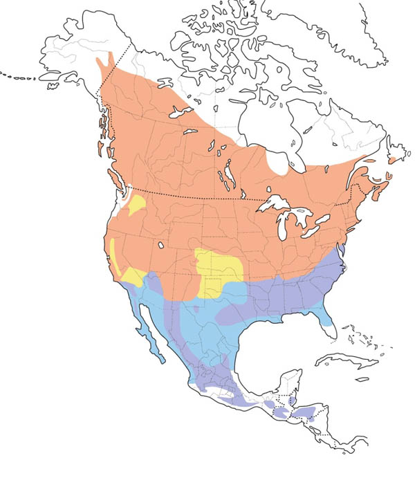 Chipping Sparrow map