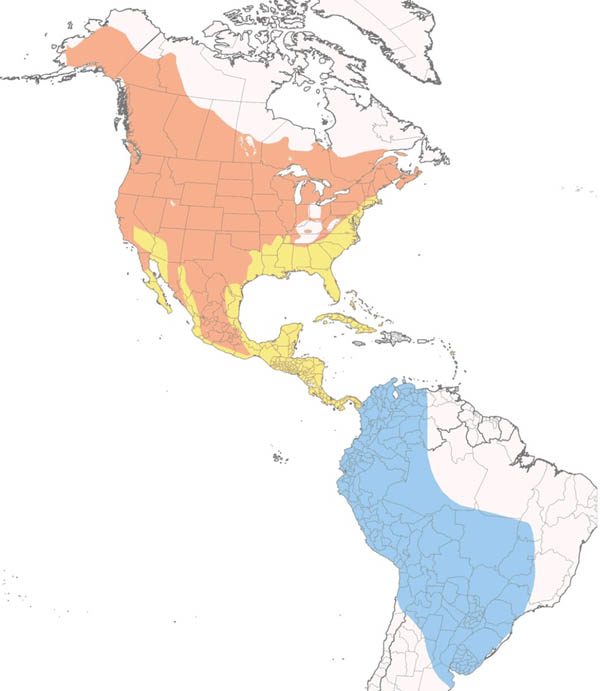 Cliff Swallow map