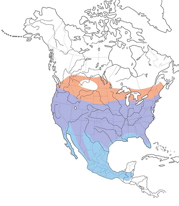 Cooper's Hawk map