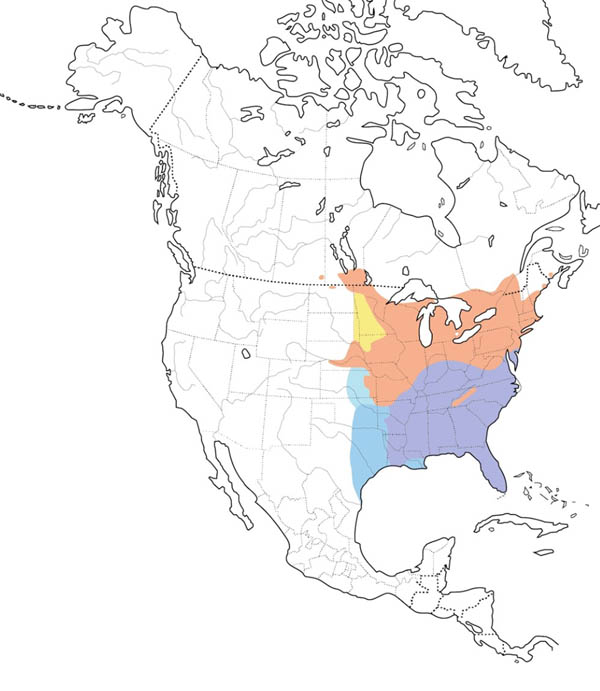 Eastern Towhee map