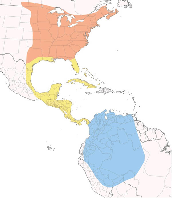 Eastern Wood-Pewee map