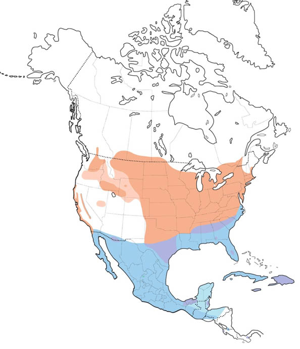 Grasshopper Sparrow map