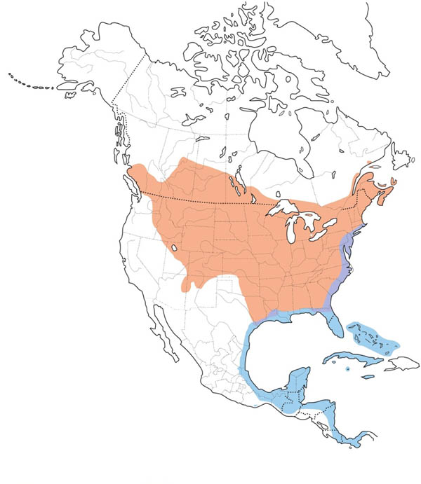 Gray Catbird map
