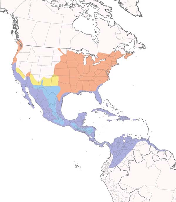 Green Heron map