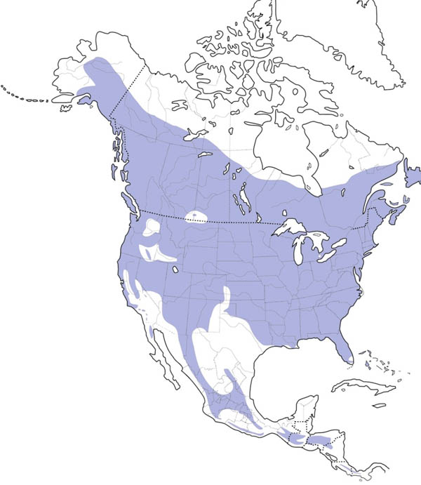 Hairy Woodpecker map