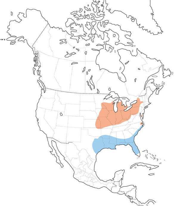 Henslow's Sparrow map