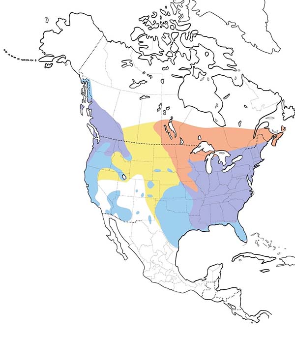 Hooded Merganser map