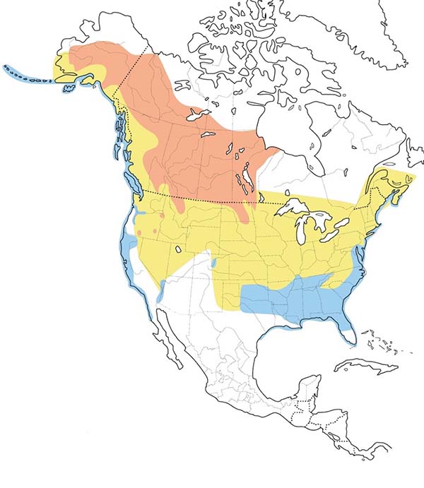 Horned Grebe map
