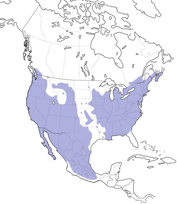 House Finch map