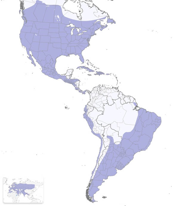 House Sparrow map