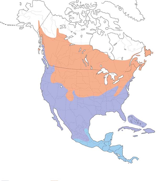 Killdeer map