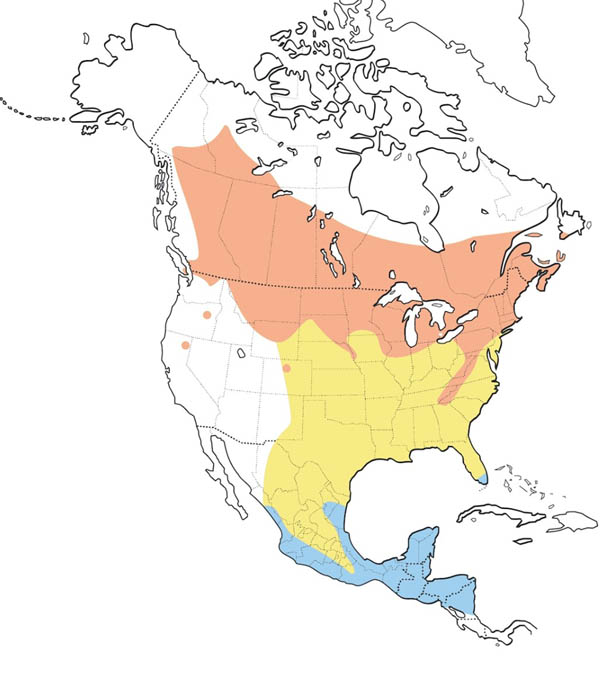 Least Flycatcher map