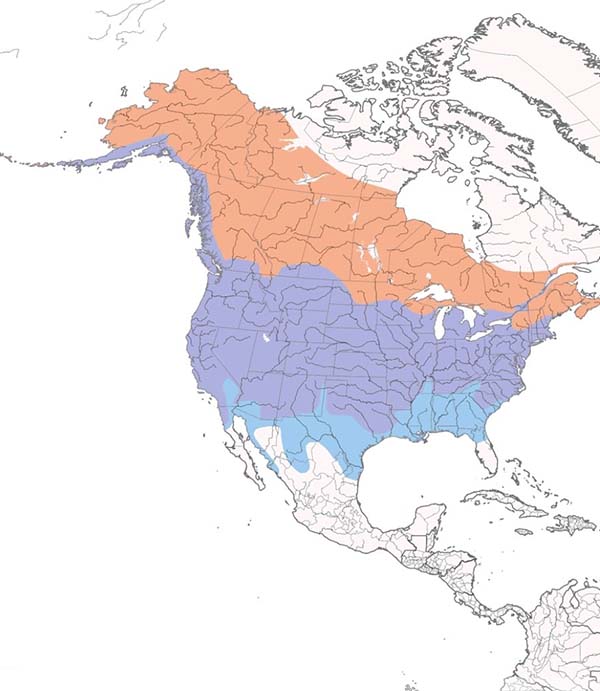 Mallard map