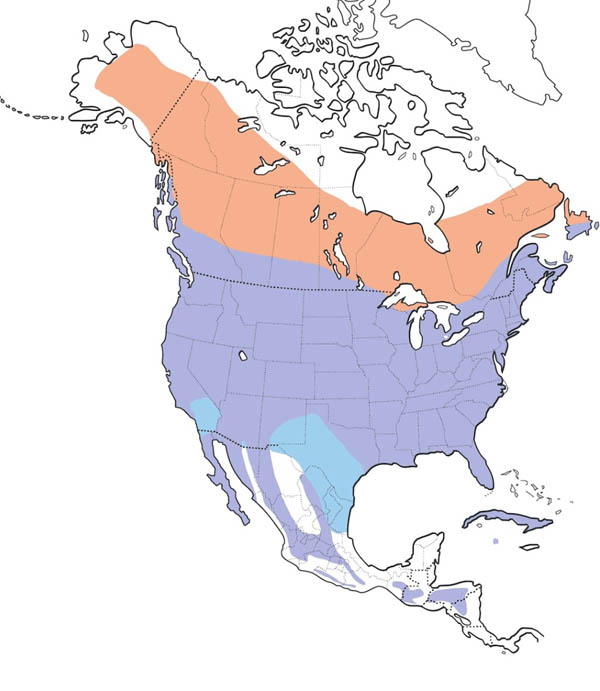 Northern Flicker map