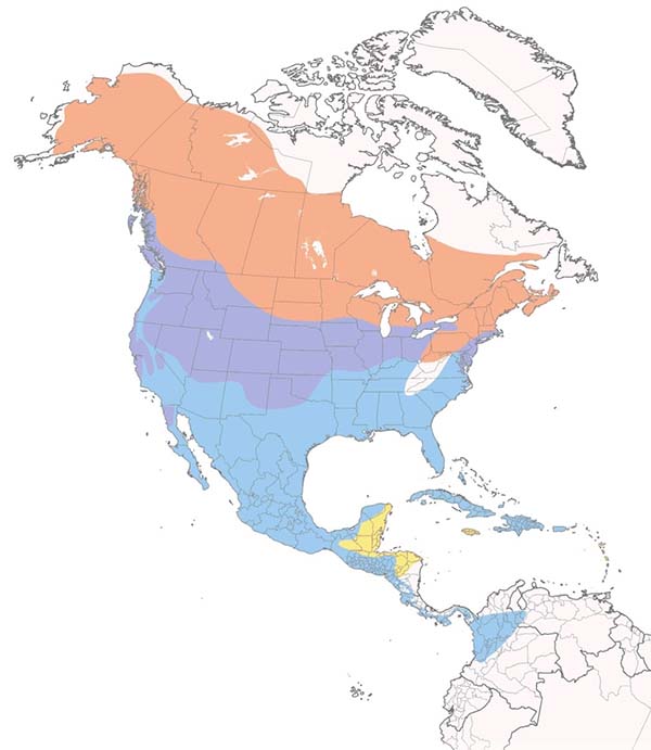 Northern Harrier map