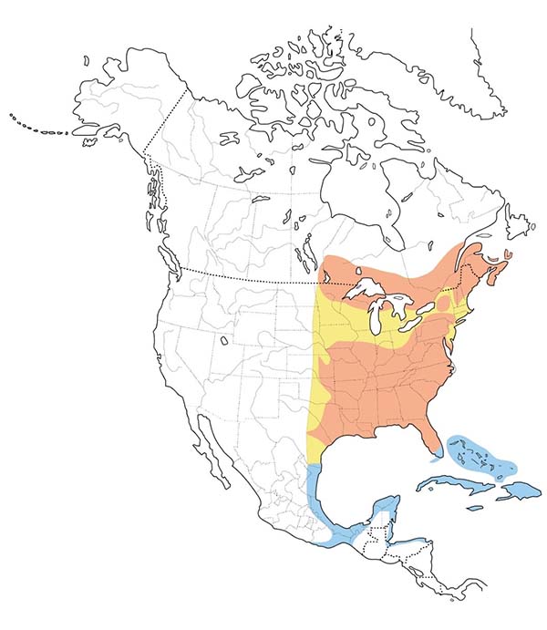 Northern Parula map