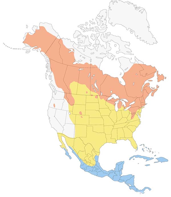Northern Waterthrush map