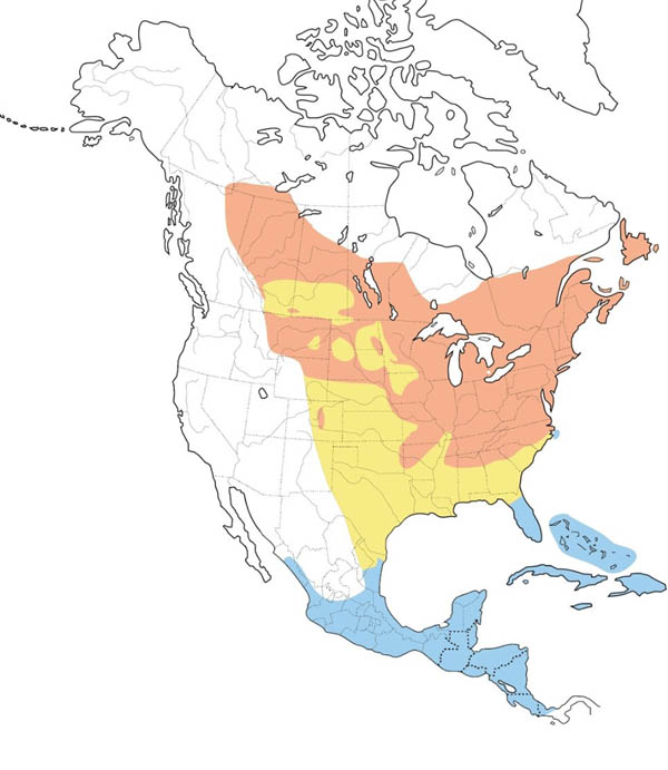 Ovenbird map