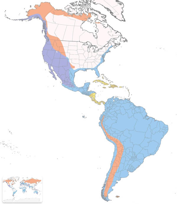 Peregrine Falcon map