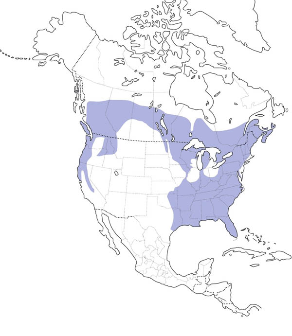 Pileated Woodpecker map