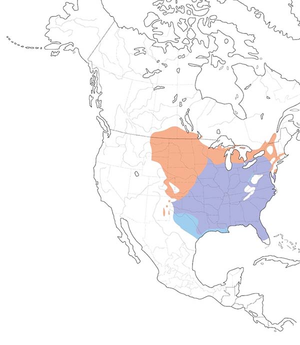 Red-headed Woodpecker map
