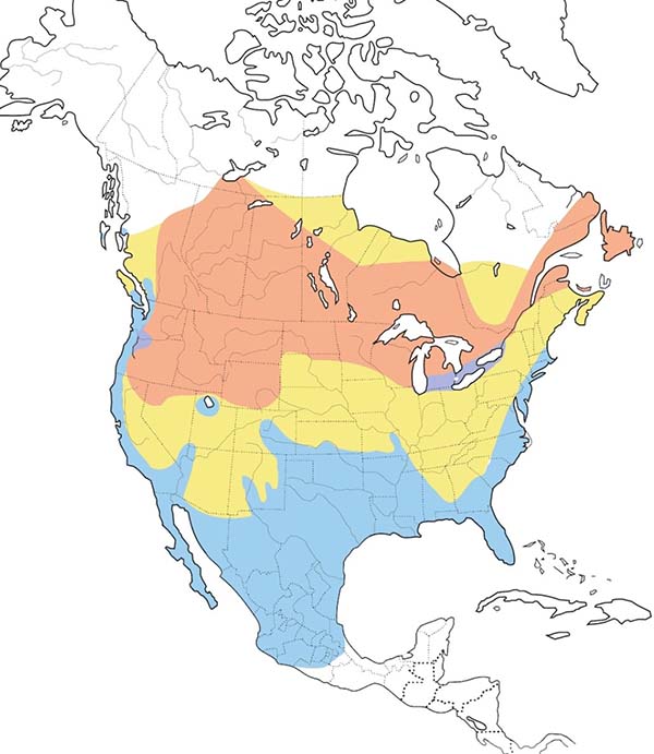 Ring-billed Gull map