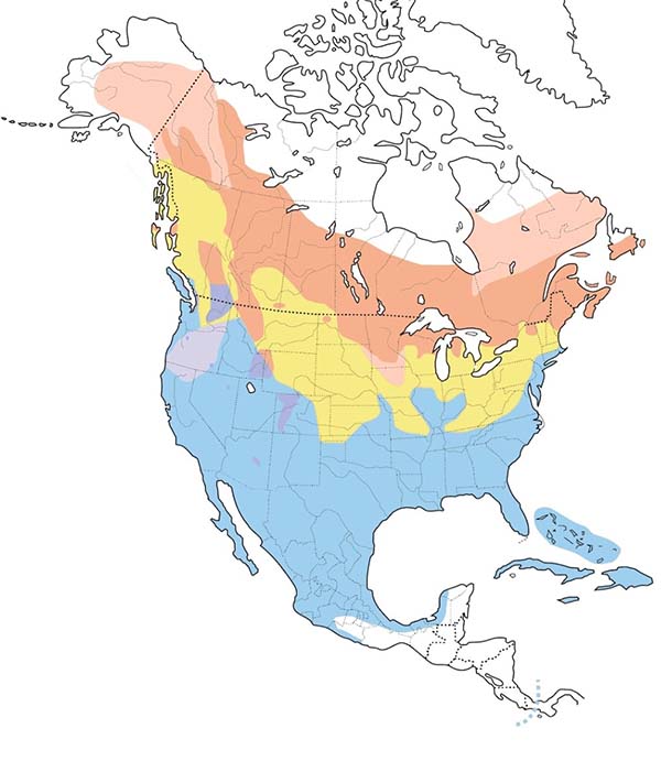 Ring-necked Duck map