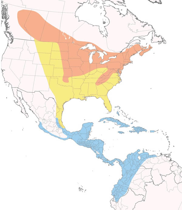 Rose-breasted Grosbeak map