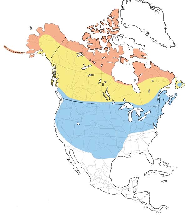 Rough-legged Hawk map