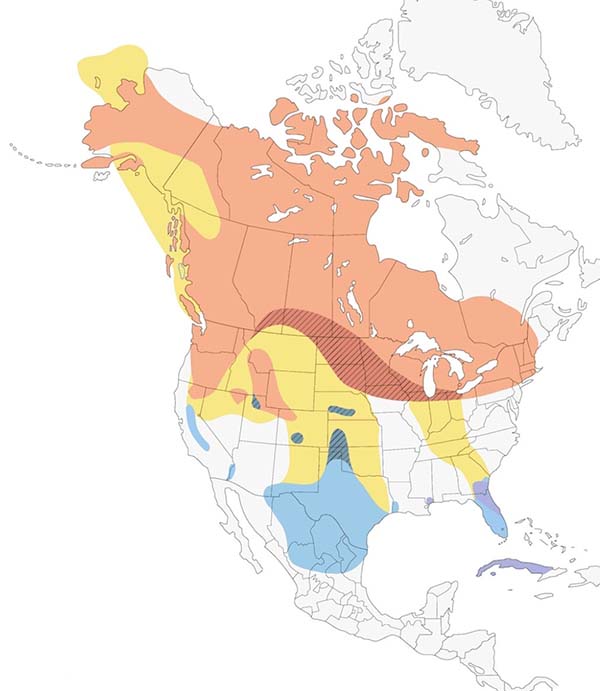 Sandhill Crane map
