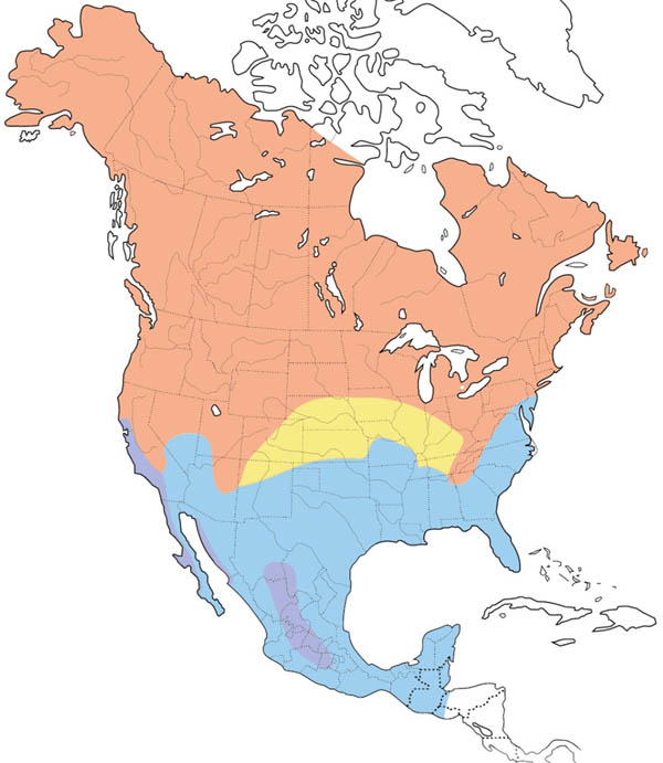 Savannah Sparrow map