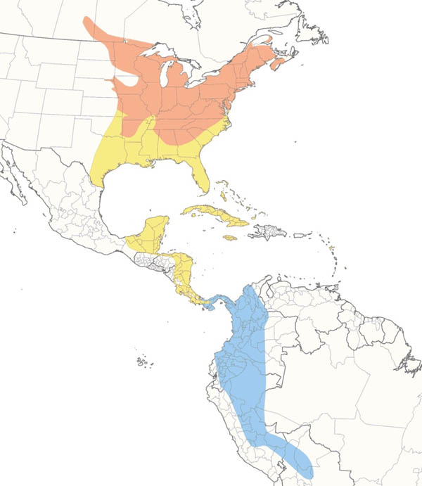 Scarlet Tanager map