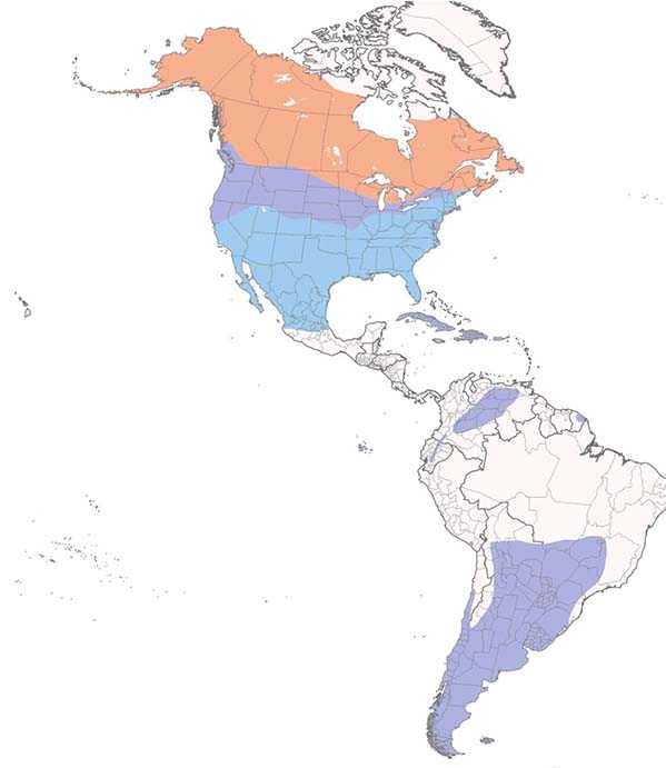 Short-eared Owl map