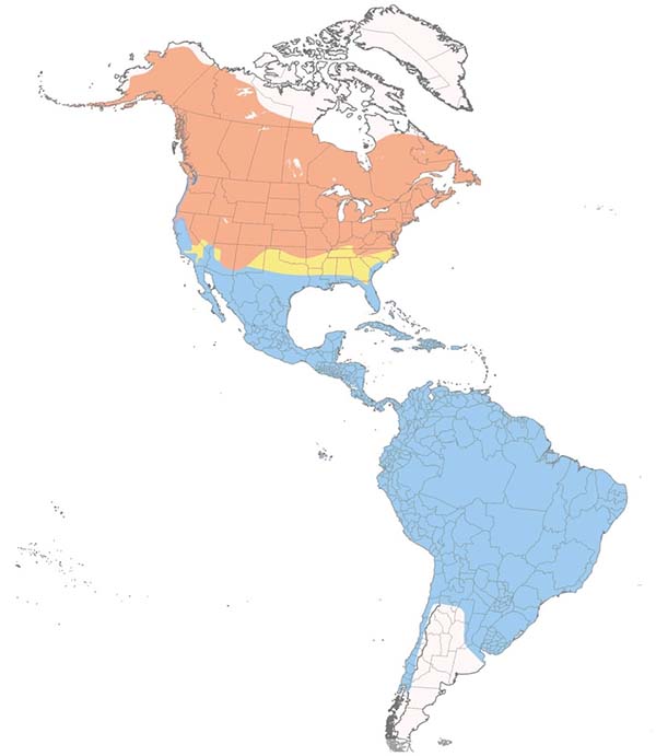 Spotted Sandpiper map