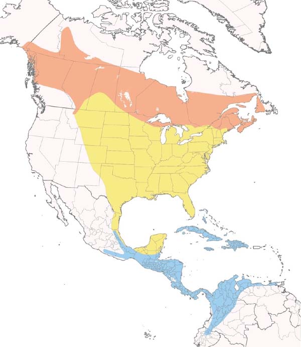 Tennessee Warbler map