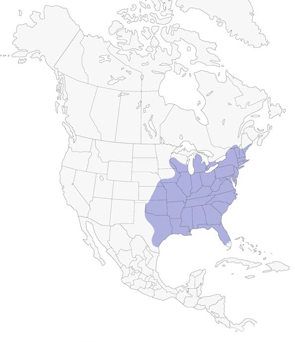 Tufted Titmouse map
