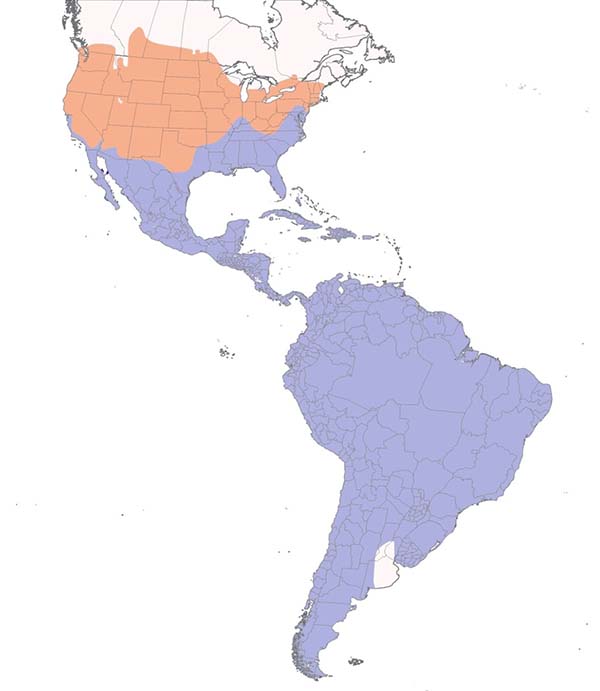 Turkey Vulture map